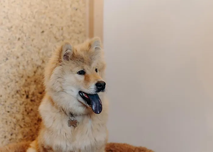 Hotel La Cachette, Friendly & Bourg-Saint-Maurice